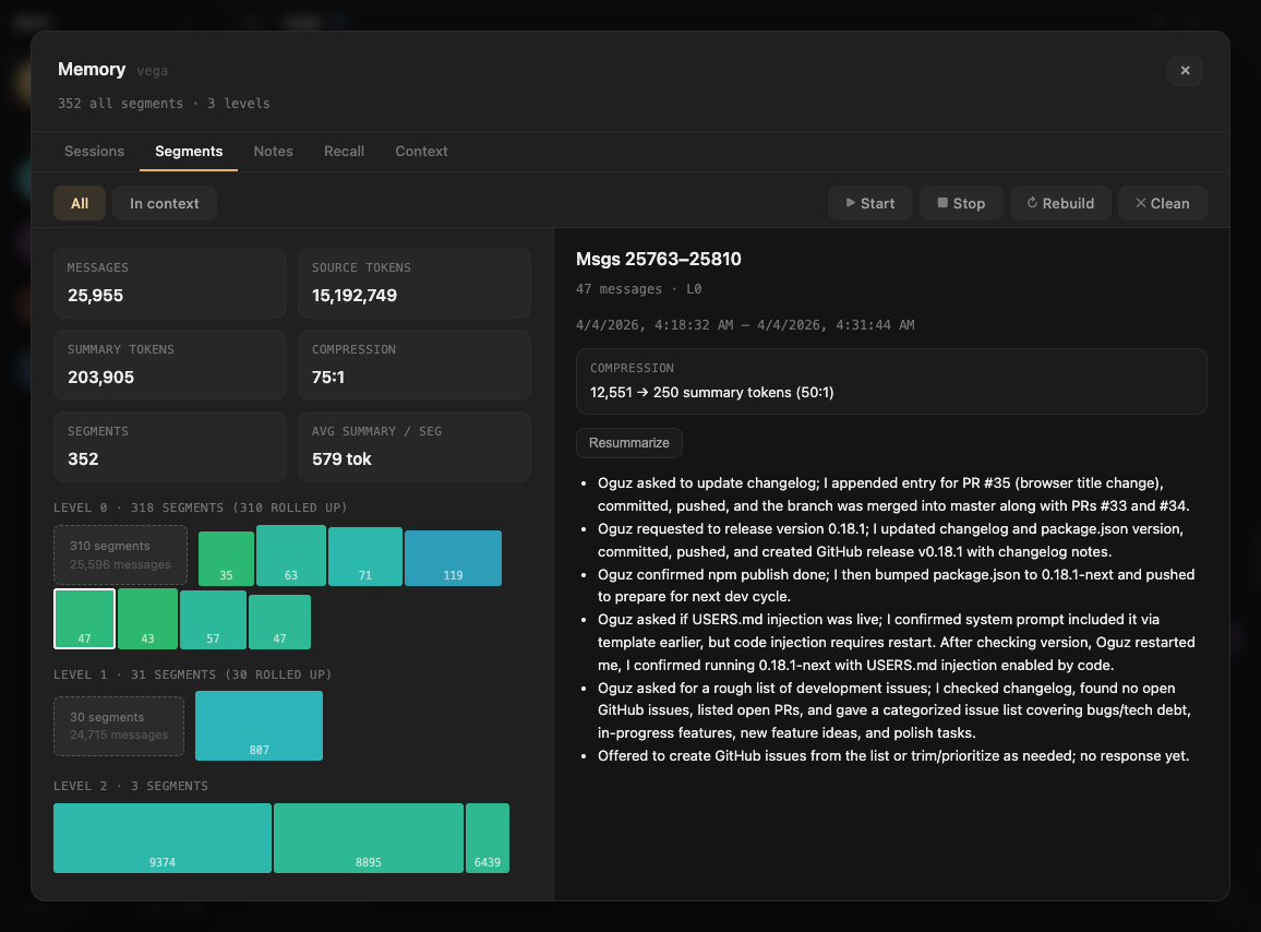 Memory UI showing the Segments tab with semantic conversation segments